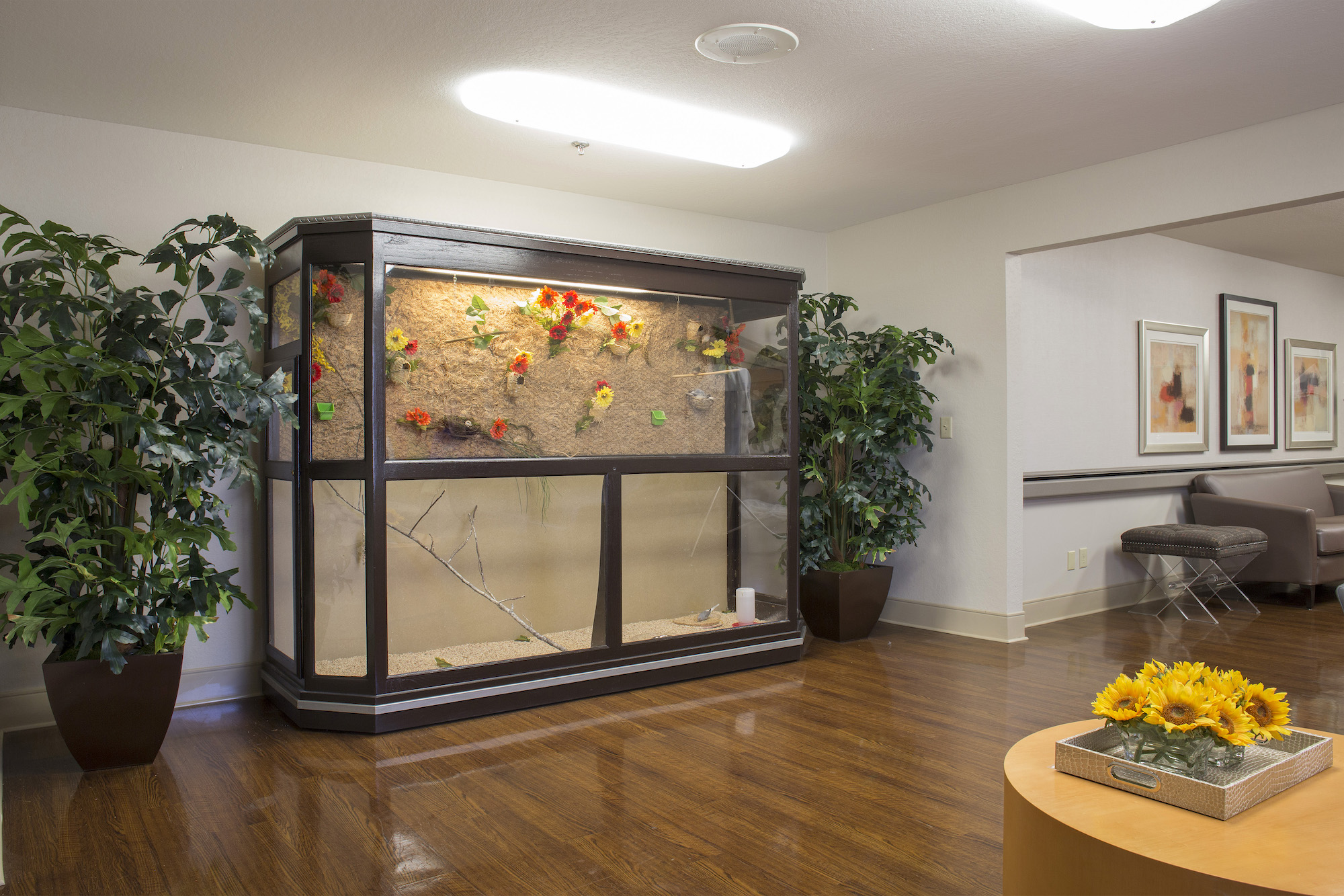 Aviary