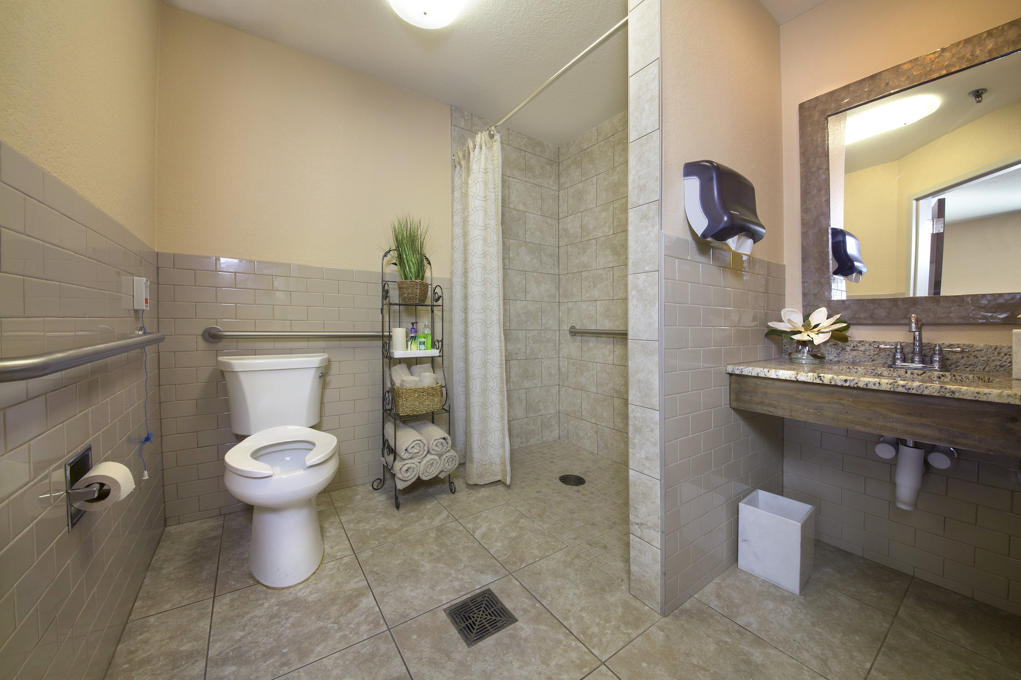 Private Rehab Bathroom